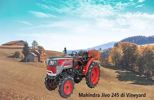 Mahindra Jivo 245 Vineyard tractor