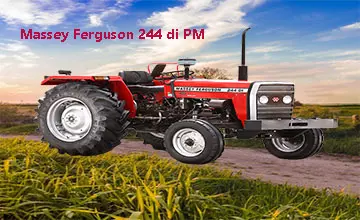 Best Massey Ferguson 244 DI PM